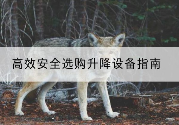 泰来升降货梯厂家推荐-*安全选购升降设备指南
