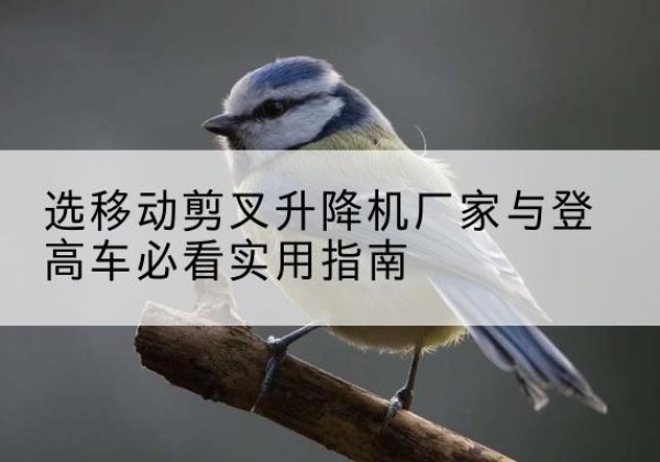 泰来电动升降机厂家-选移动剪叉升降机厂家与登高车必看实用指南